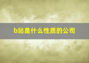 b站是什么性质的公司