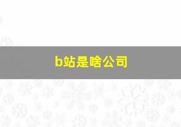 b站是啥公司