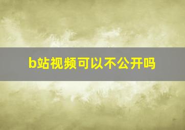 b站视频可以不公开吗