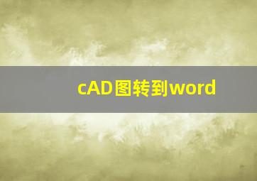 cAD图转到word