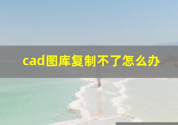 cad图库复制不了怎么办