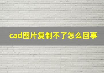 cad图片复制不了怎么回事