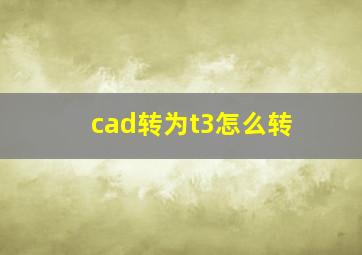 cad转为t3怎么转