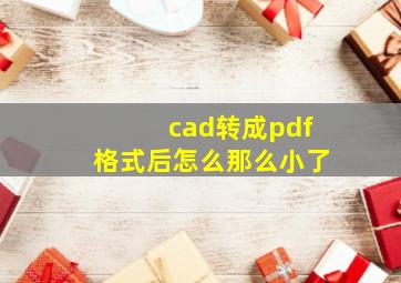 cad转成pdf格式后怎么那么小了