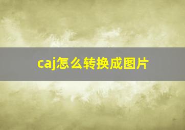 caj怎么转换成图片