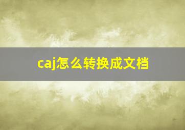 caj怎么转换成文档