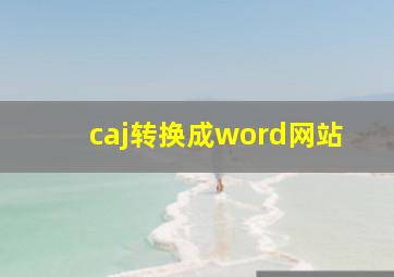 caj转换成word网站