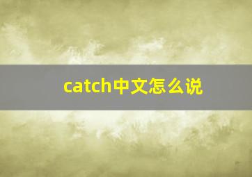 catch中文怎么说