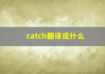 catch翻译成什么