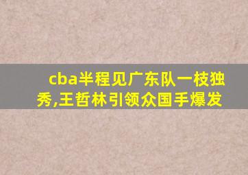 cba半程见广东队一枝独秀,王哲林引领众国手爆发