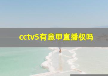 cctv5有意甲直播权吗