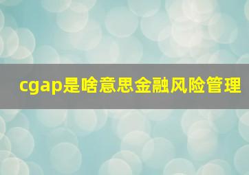 cgap是啥意思金融风险管理