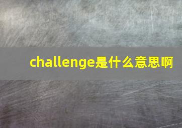 challenge是什么意思啊