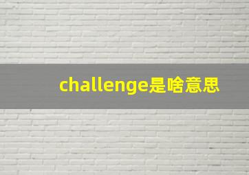 challenge是啥意思