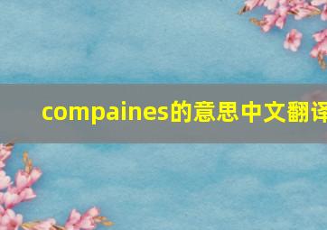 compaines的意思中文翻译