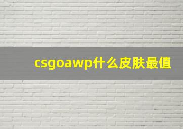 csgoawp什么皮肤最值