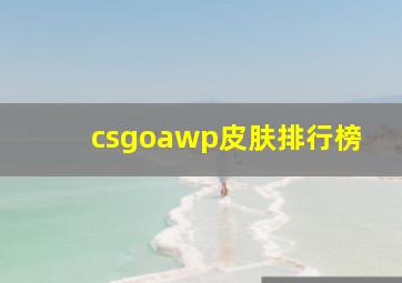 csgoawp皮肤排行榜