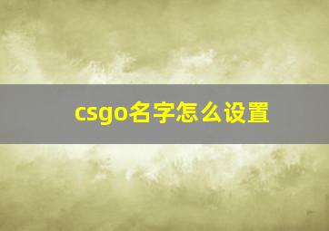 csgo名字怎么设置