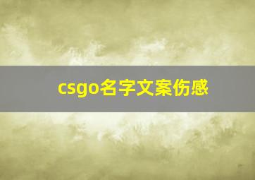 csgo名字文案伤感