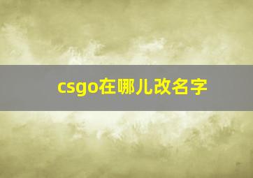 csgo在哪儿改名字