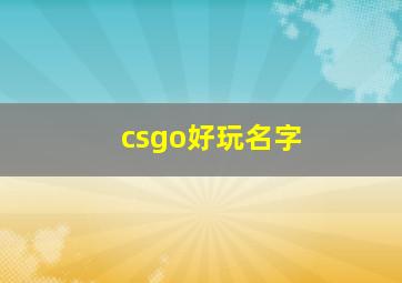 csgo好玩名字