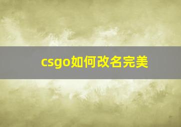 csgo如何改名完美