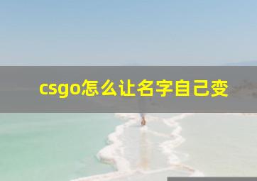 csgo怎么让名字自己变