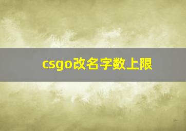 csgo改名字数上限