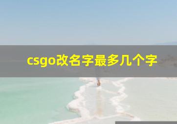 csgo改名字最多几个字