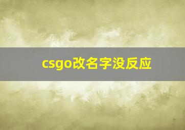 csgo改名字没反应