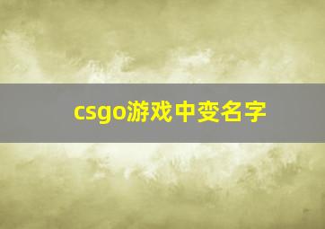 csgo游戏中变名字