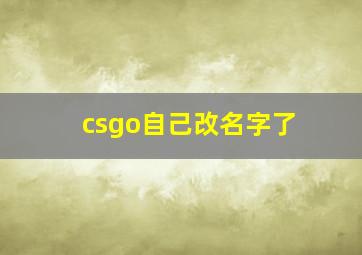 csgo自己改名字了