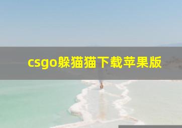 csgo躲猫猫下载苹果版