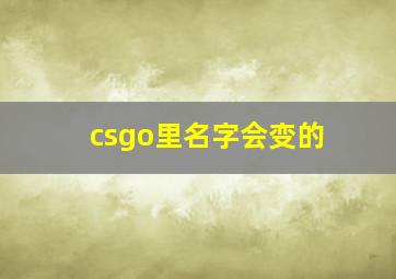 csgo里名字会变的