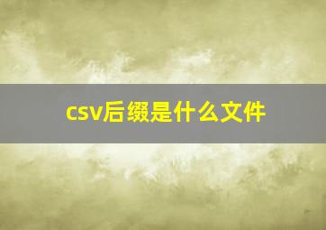 csv后缀是什么文件