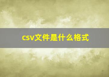 csv文件是什么格式