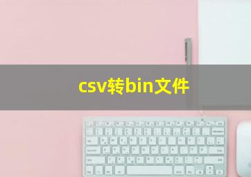 csv转bin文件