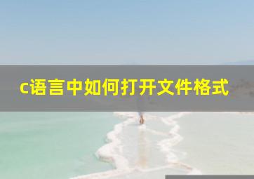 c语言中如何打开文件格式