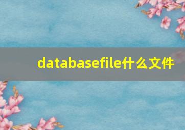 databasefile什么文件