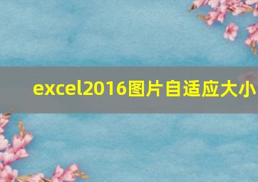 excel2016图片自适应大小