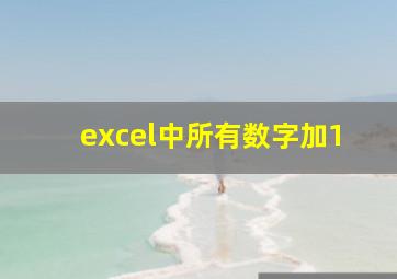 excel中所有数字加1