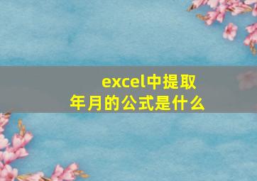 excel中提取年月的公式是什么