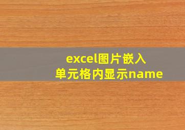 excel图片嵌入单元格内显示name