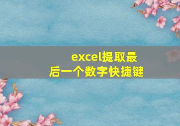 excel提取最后一个数字快捷键