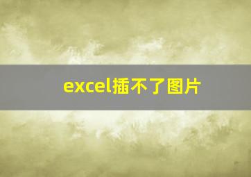 excel插不了图片