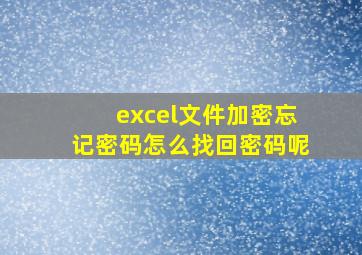 excel文件加密忘记密码怎么找回密码呢