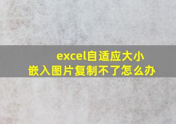 excel自适应大小嵌入图片复制不了怎么办