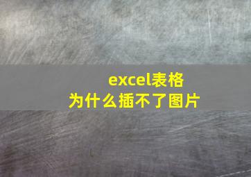 excel表格为什么插不了图片