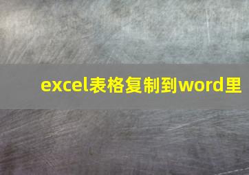 excel表格复制到word里