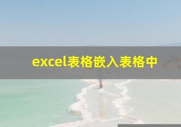 excel表格嵌入表格中